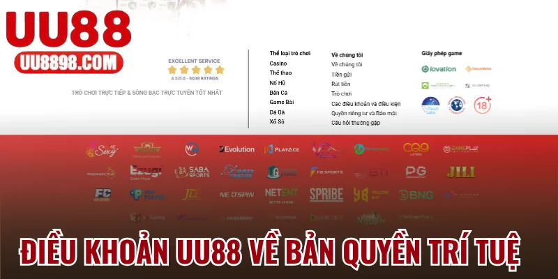 Điều khoản về bản quyền trí tuệ